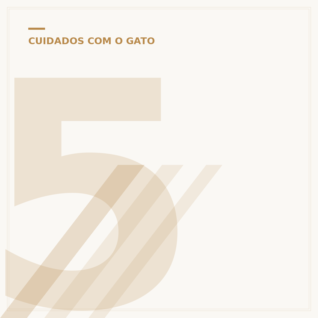 5 anos na idade dos gatos: como calcular a equivalência