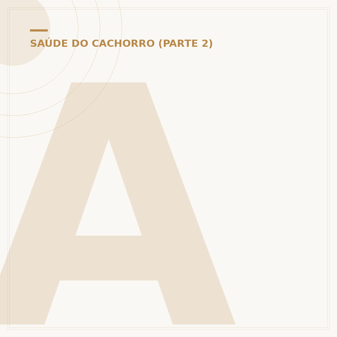 Abridor de apetite para cachorro: quando e como usar