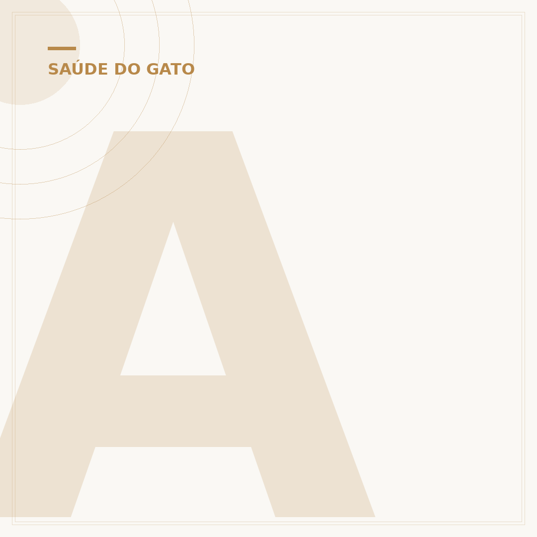 Abscesso em gatos: causas, sintomas e tratamentos