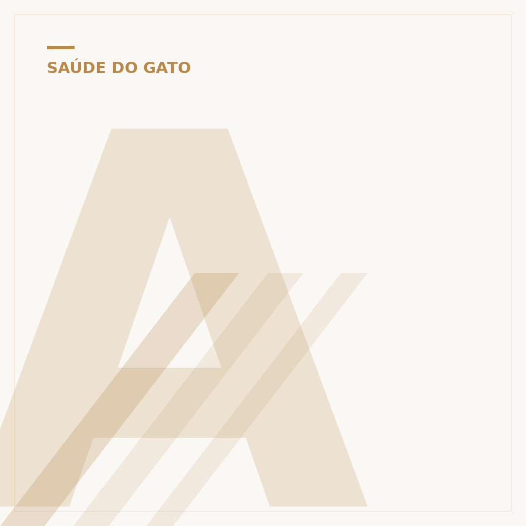 Abscesso no pescoço do gato: causas, sintomas e cuidados