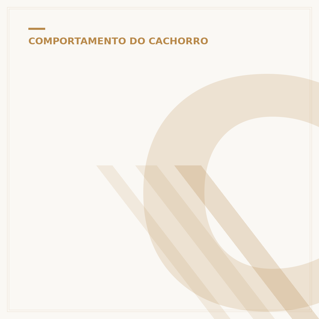 Como acalmar cachorro com medo de fogos