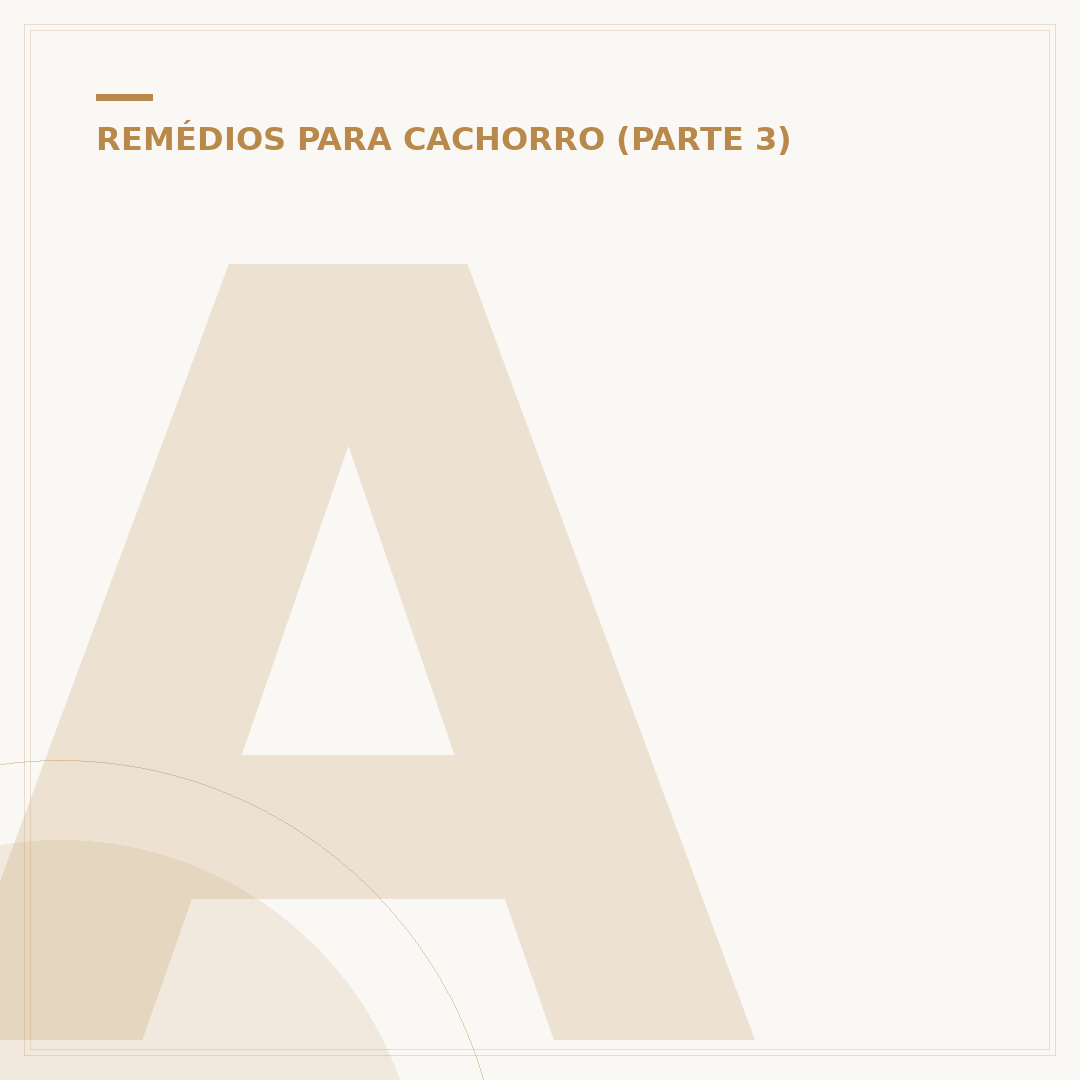 Acetilcisteína para cachorro: para que serve e como usar
