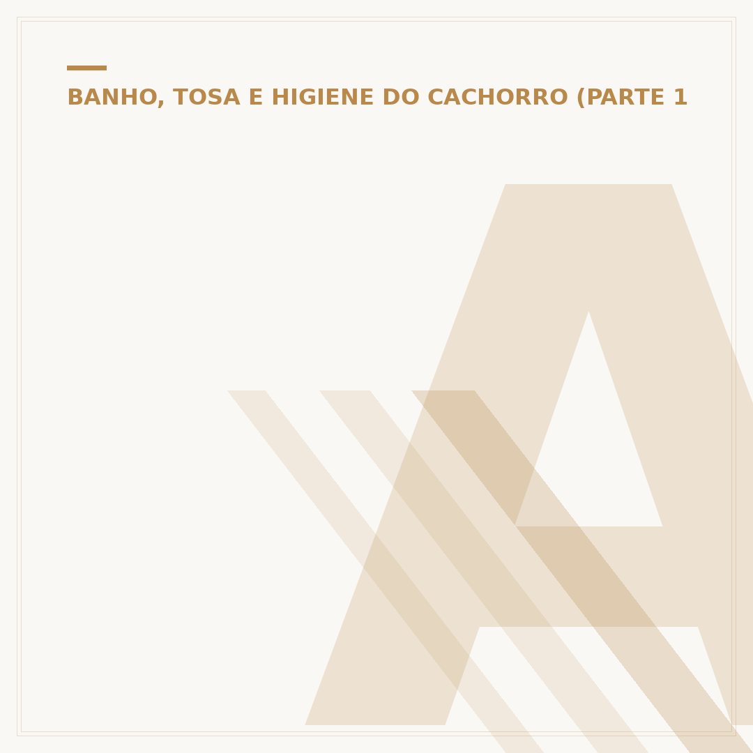Adesivo para banho e tosa