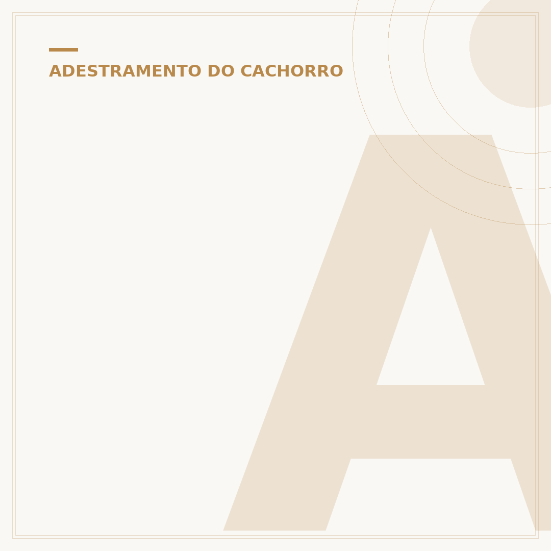 Adestramento de cães gratuito