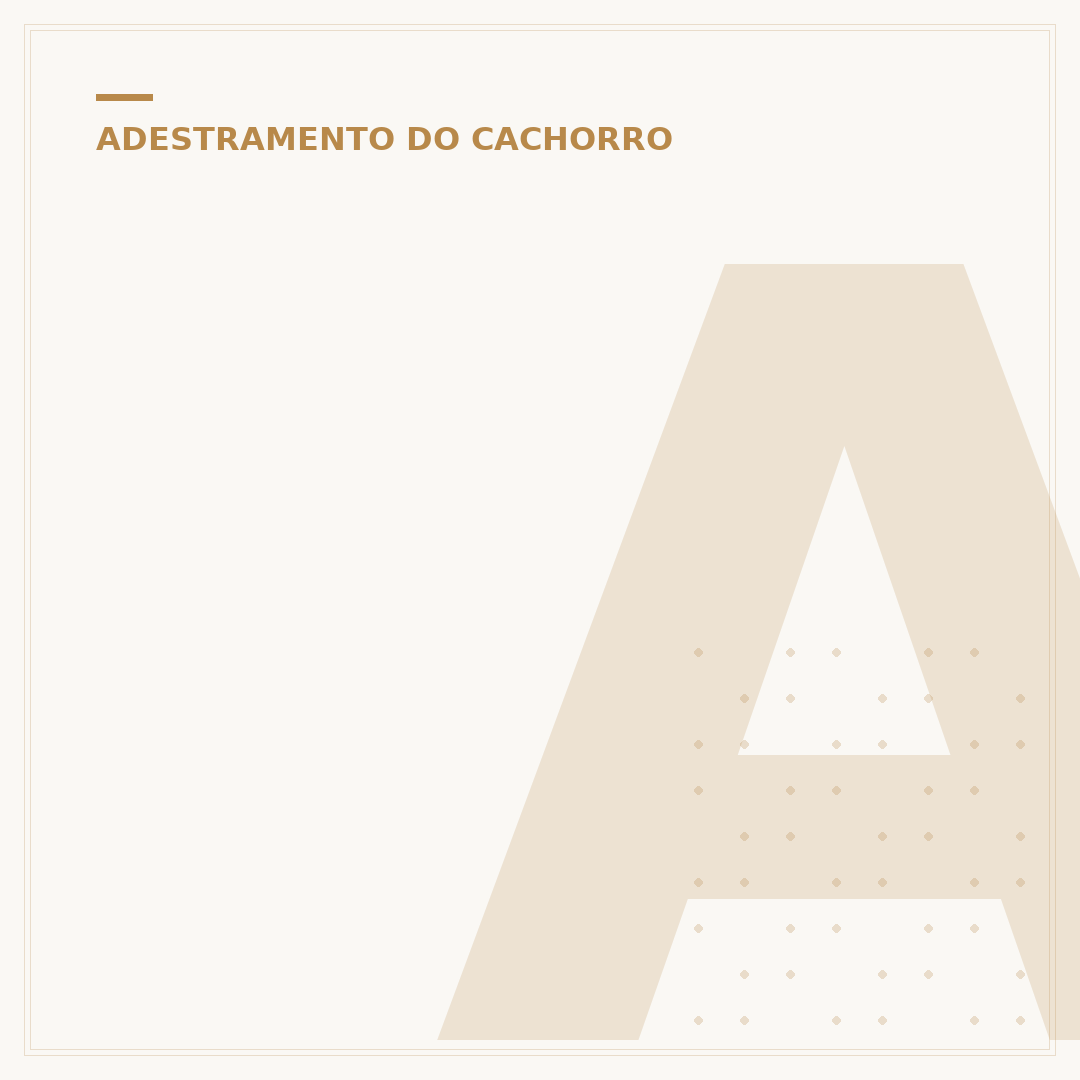 Adestramento Mazaquatro