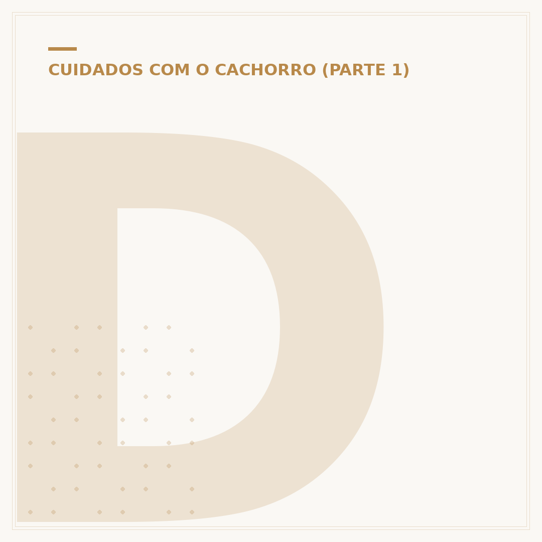 Doação cachorro pequeno porte: como adotar ou doar