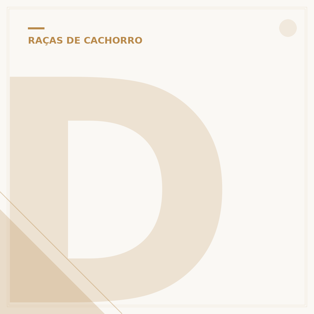 Doação de cachorro de raça: o que saber antes