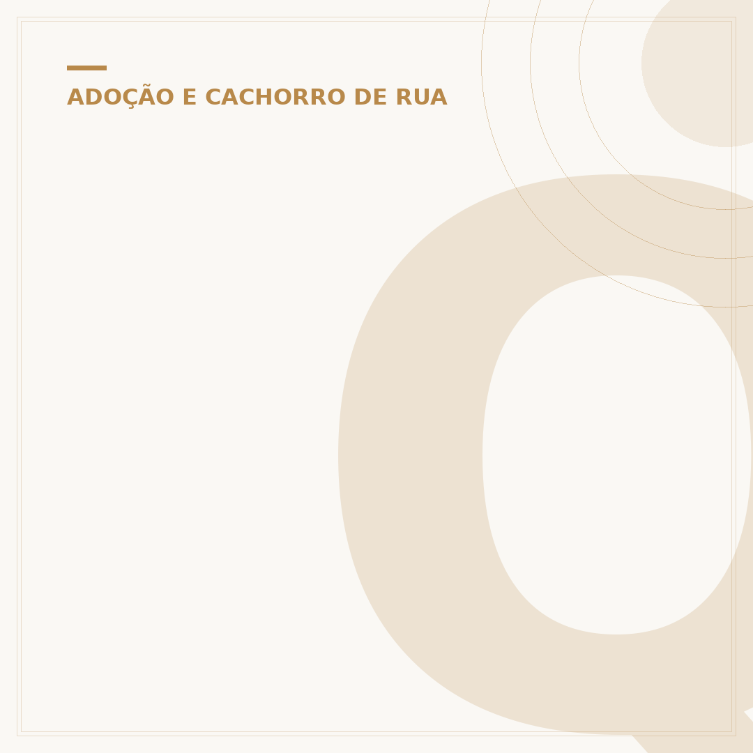 Quero adotar um cachorro de porte pequeno para apartamento