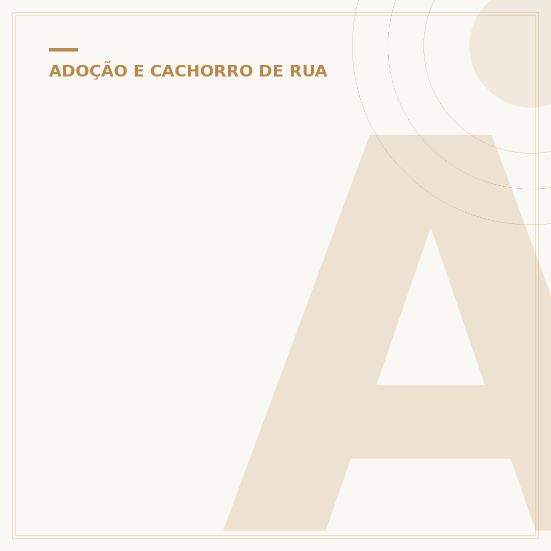 Adotar um Cachorro