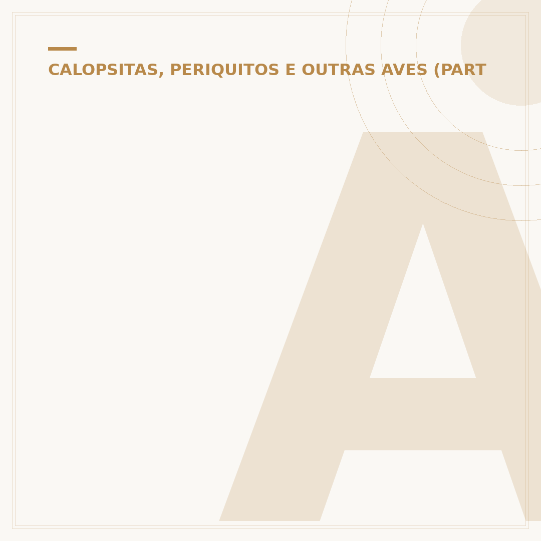 Agapornis: o que são, cuidados e como criar as aves do amor