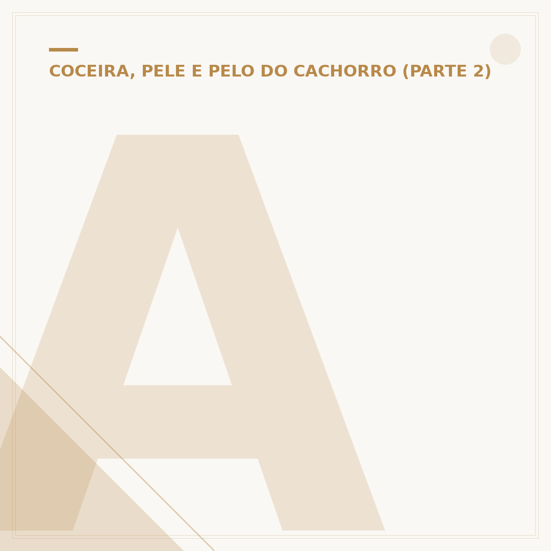 Alergia a pelo de cachorro: tem cura ou controle?