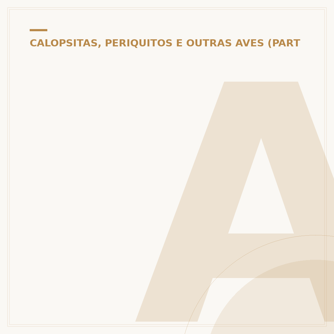 Alicate Papagaio