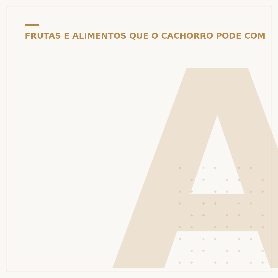 Alimentação do cachorro: nutrição para saúde e bem-estar