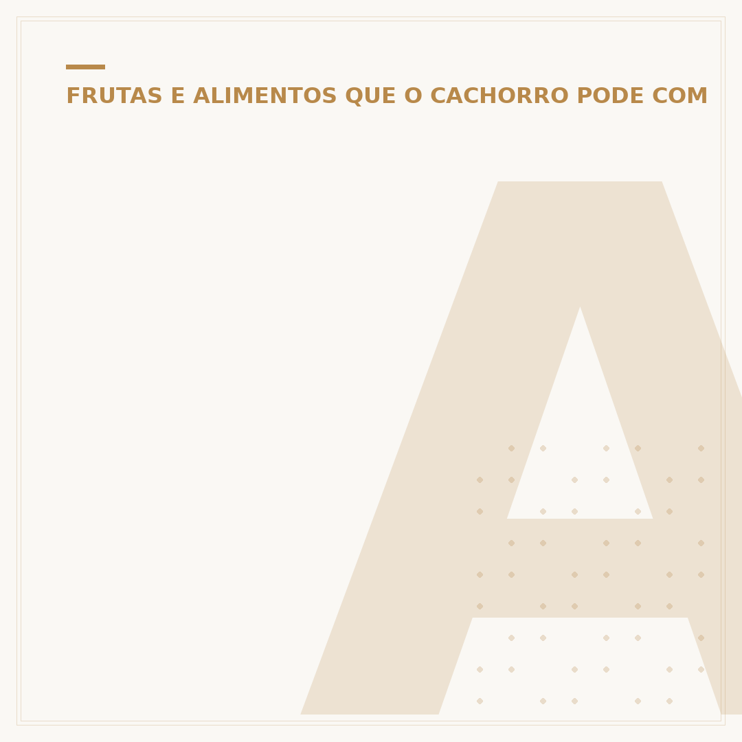 Alimentação natural para cães