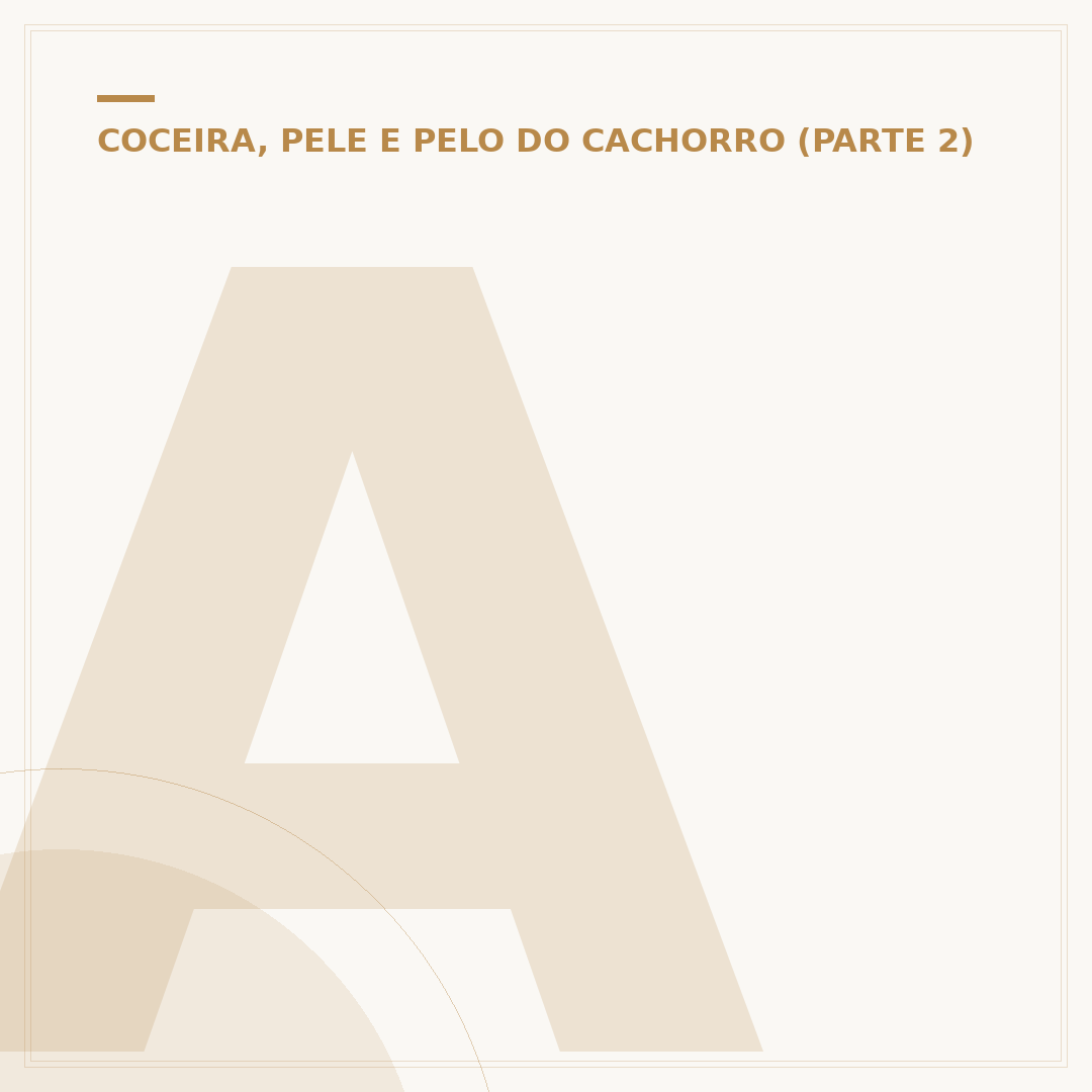Alimentos que diminuem a queda de pelo de cachorro