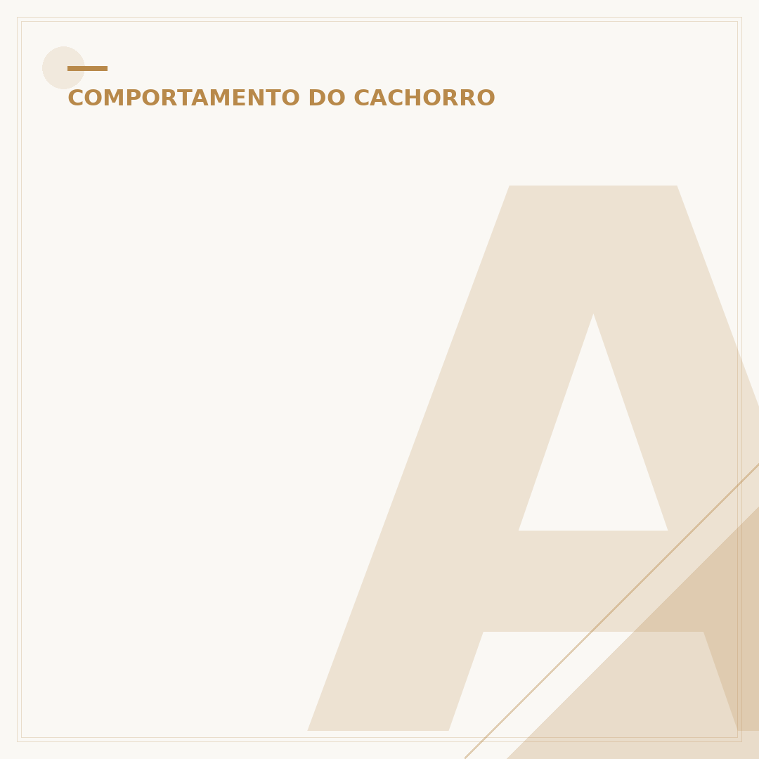 Anestesia para cachorro dormir: o que acontece?