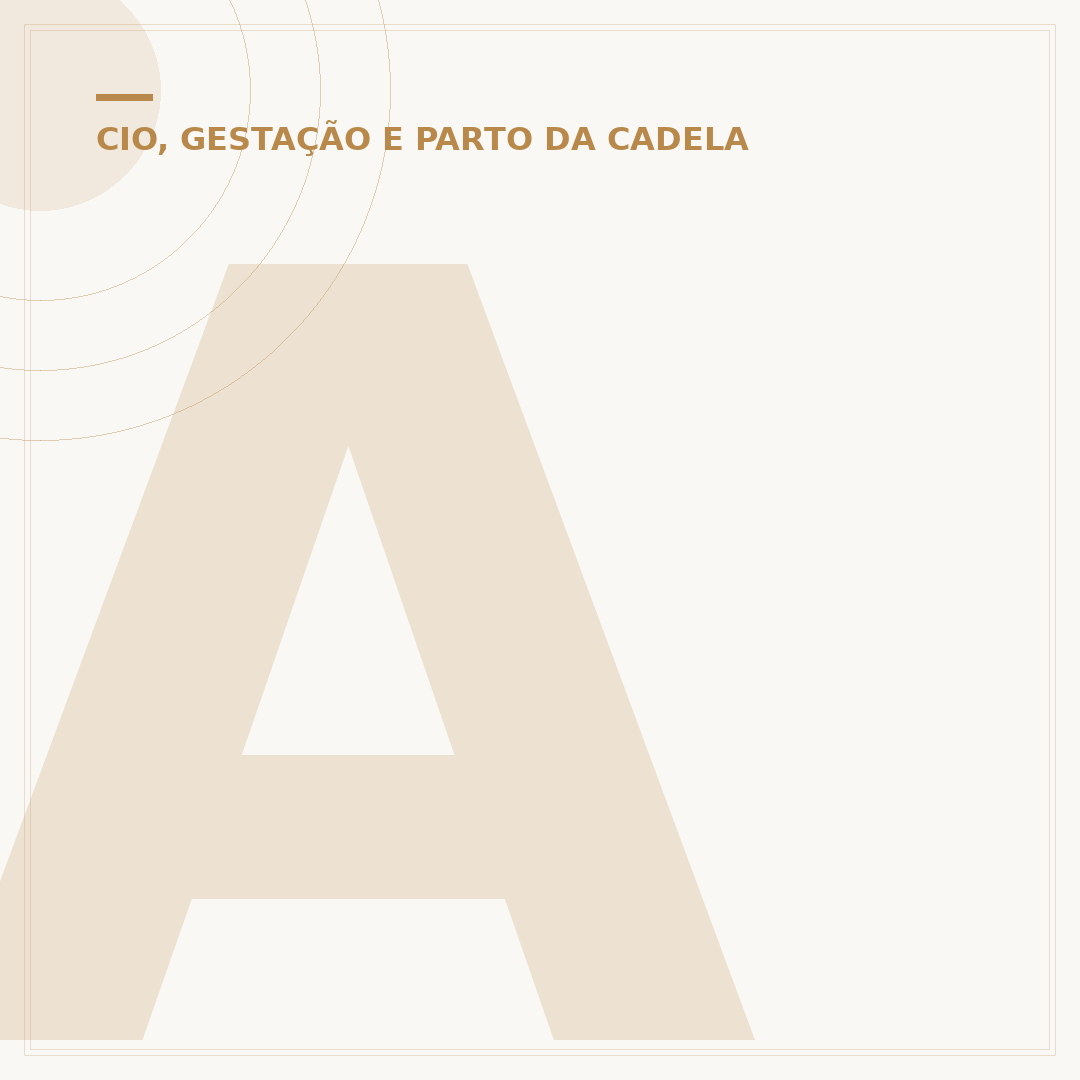 Anil corta cio de cadela: o que é e como funciona