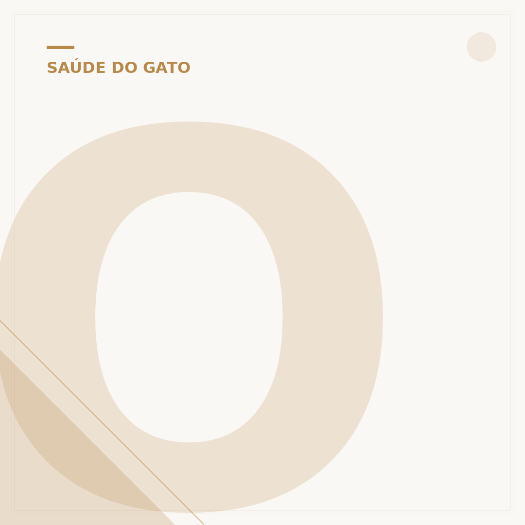 O que pode ser um ânus de gato sujo de sangue?