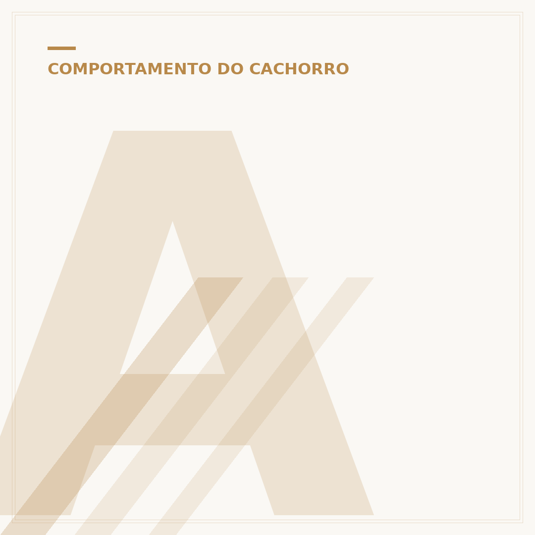 Apito ultrassônico para cachorro parar de latir: funciona?