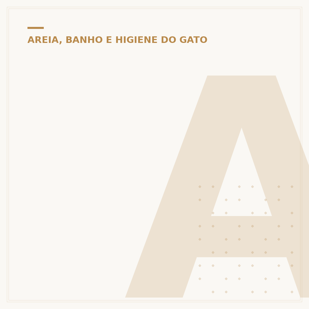 Areia para balaio de gato