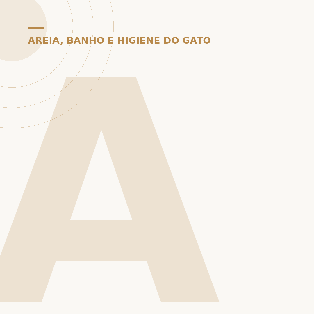 Areia trono de gato