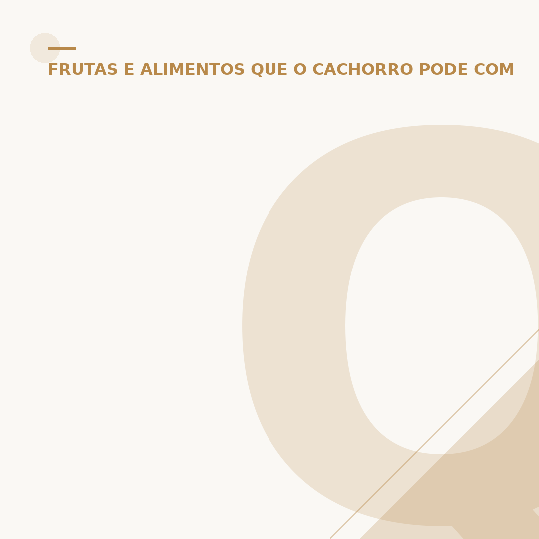 Qual o melhor arroz para cachorro?