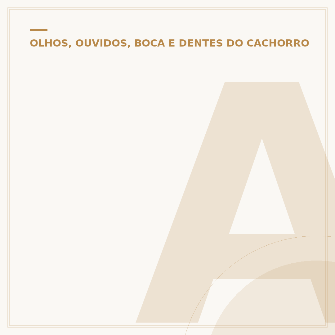 Assassinos da orelha do cachorro