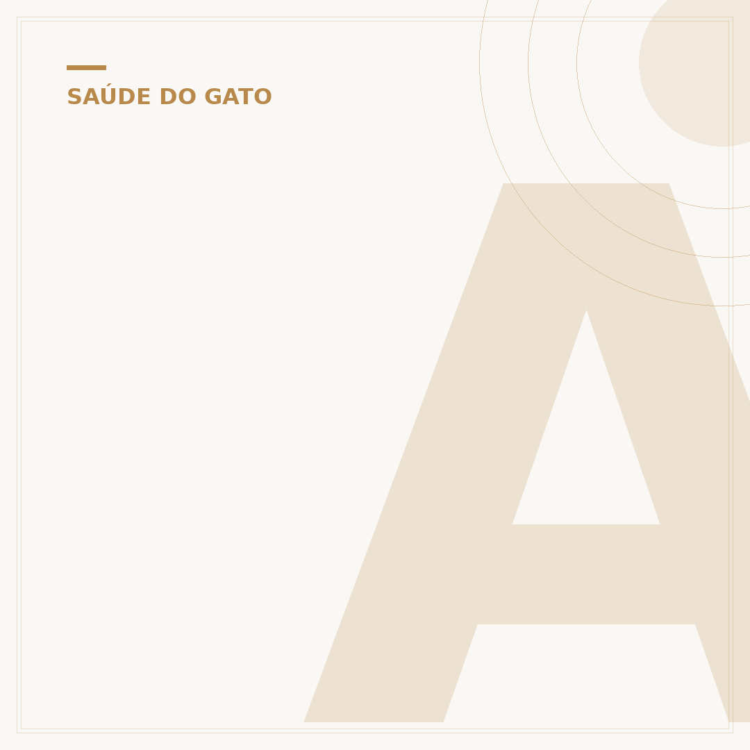 Azeite para gato defecar: quando e como usar