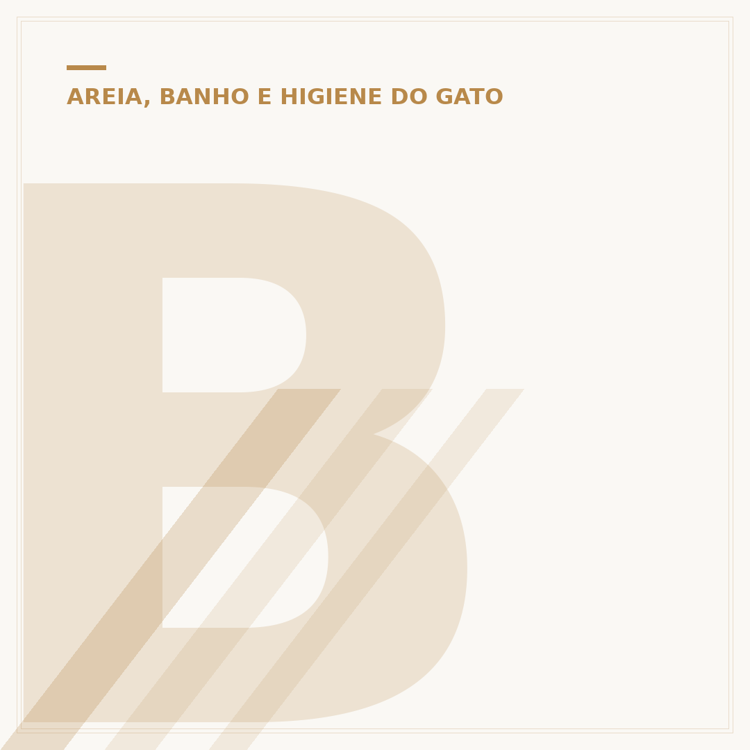 Bacia para areia de gato