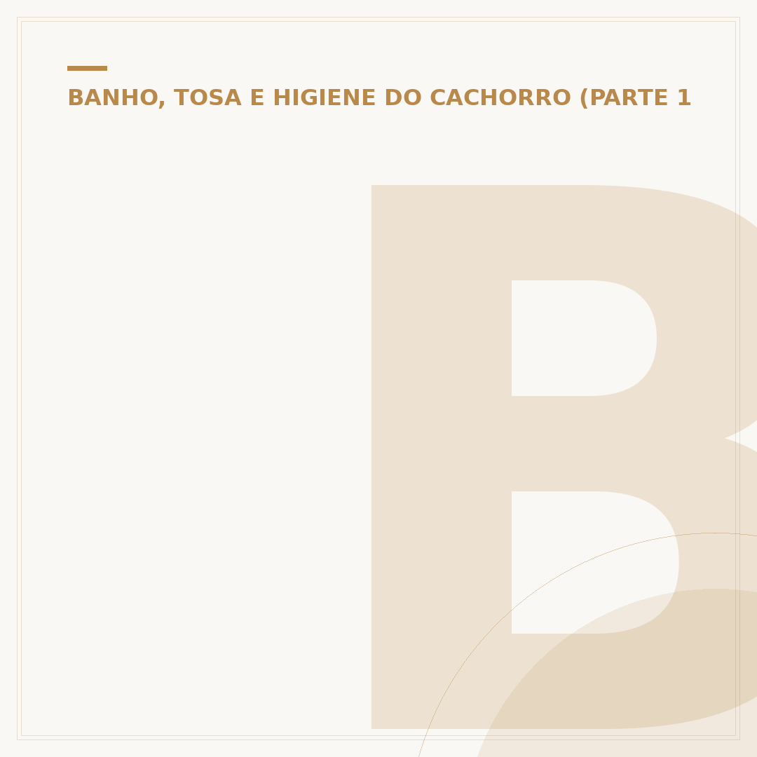 Banheira para banho e tosa