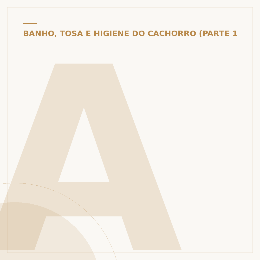 A partir de quantos meses pode dar banho no cachorro?