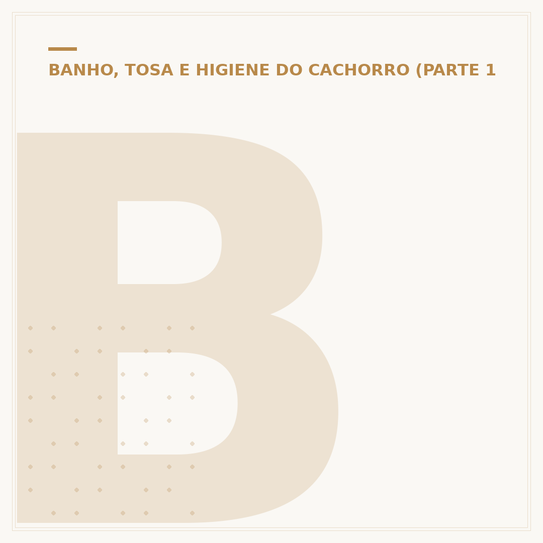 Banho e tosa em Petrópolis