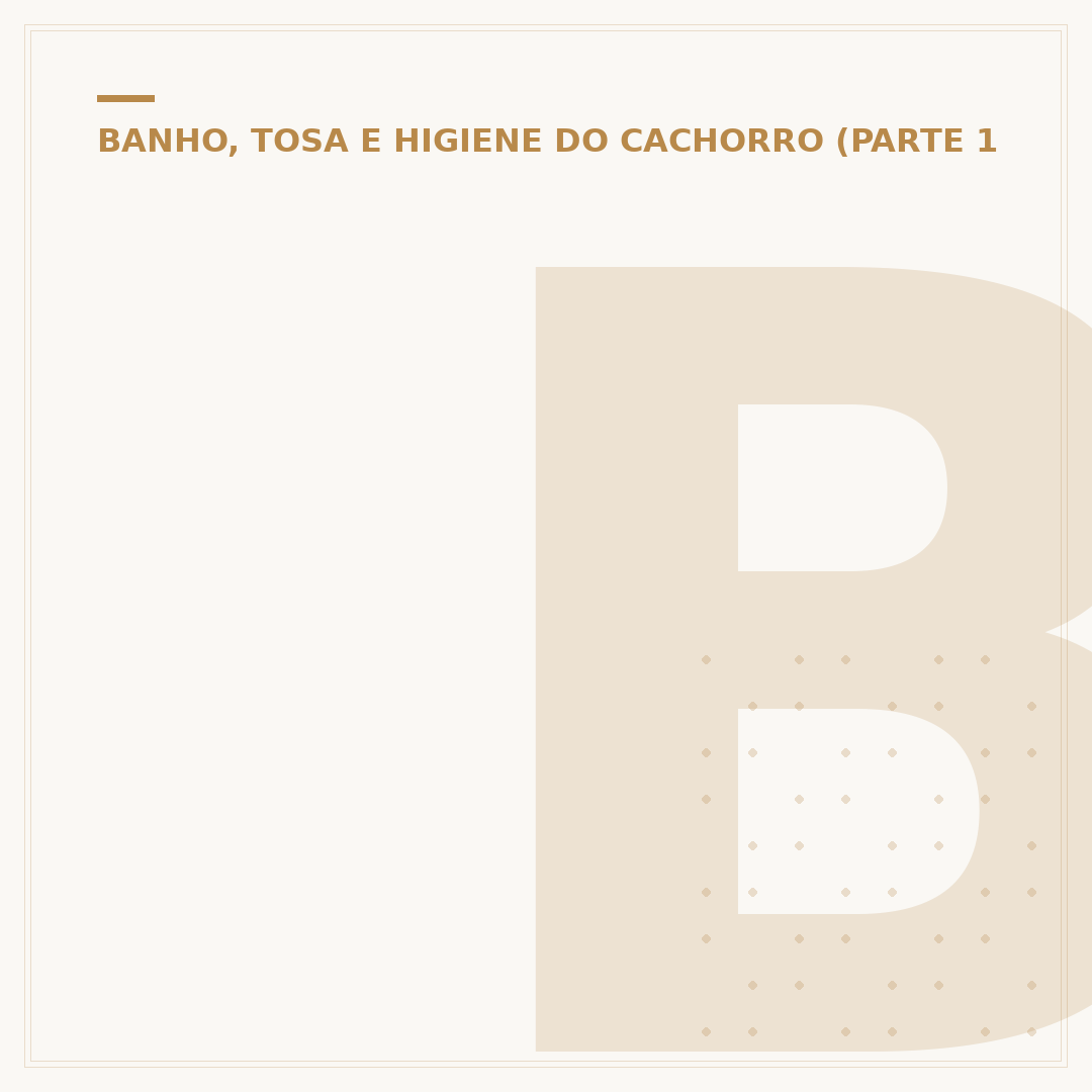 Banho e tosa em Bangu