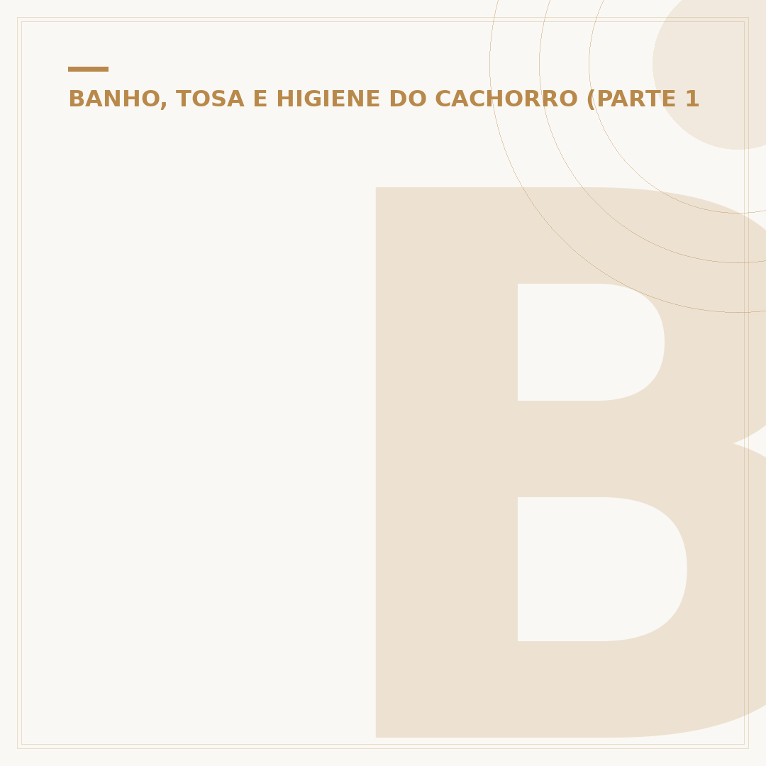Banho e tosa em Carapicuíba