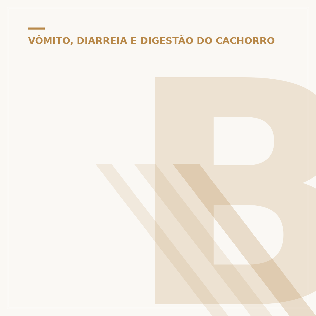 Barriga d'água em cachorro pode matar: causas e riscos