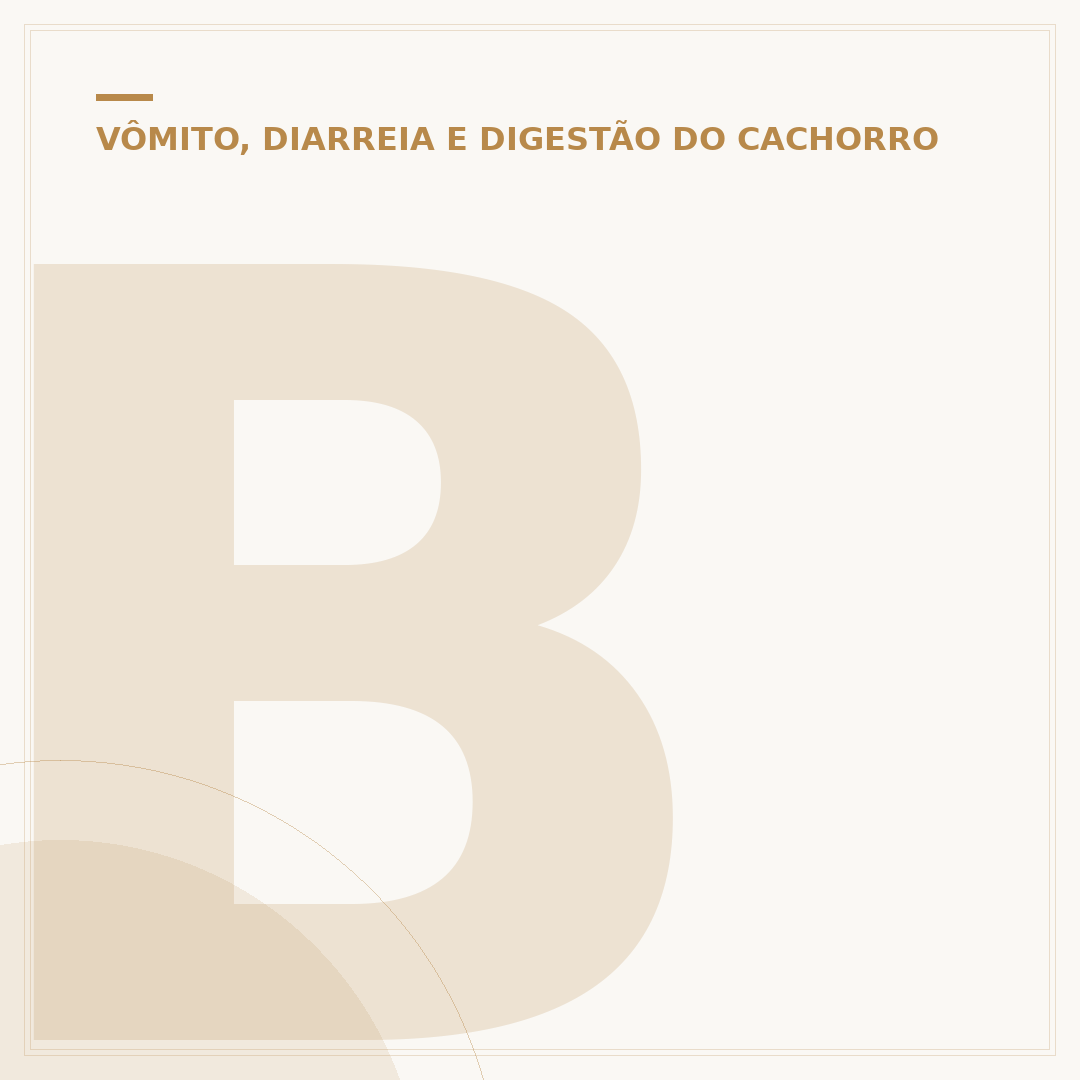 Barriga do cachorro ficando escura: causas e o que observar