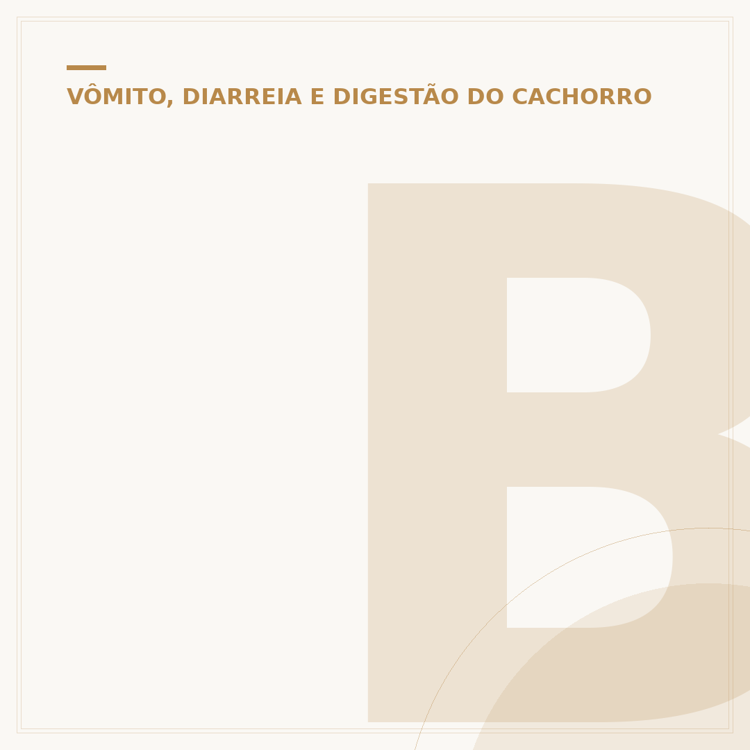 Barriga do cachorro escureceu: causas e quando se preocupar