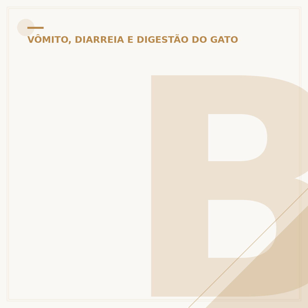 Barriga do gato fazendo barulho