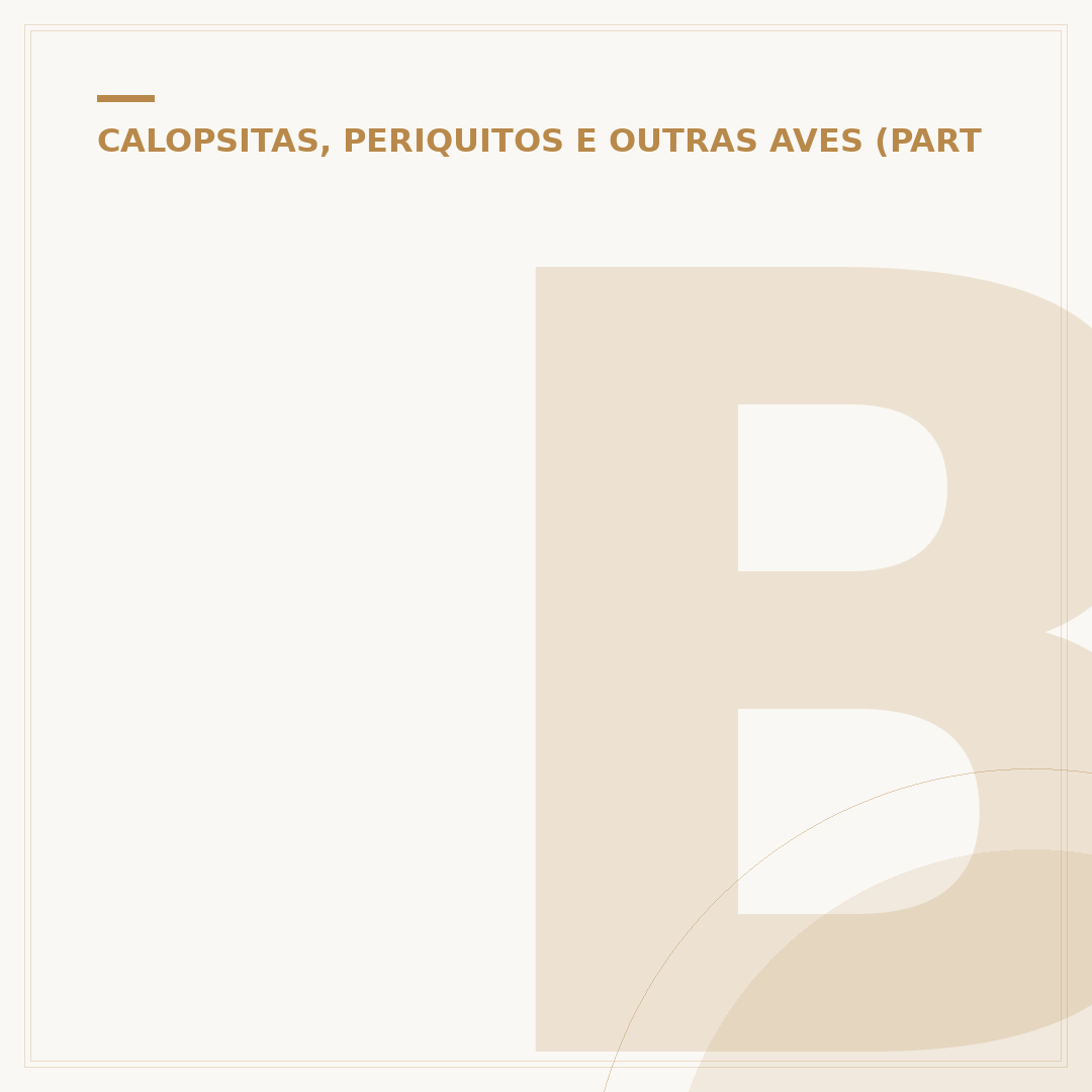 Bebedouro para calopsita