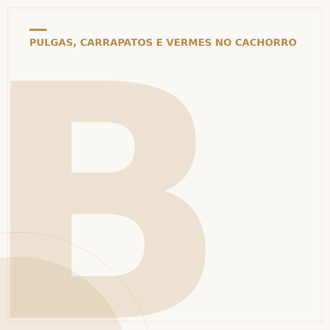 Berne em cachorro: sinais de início