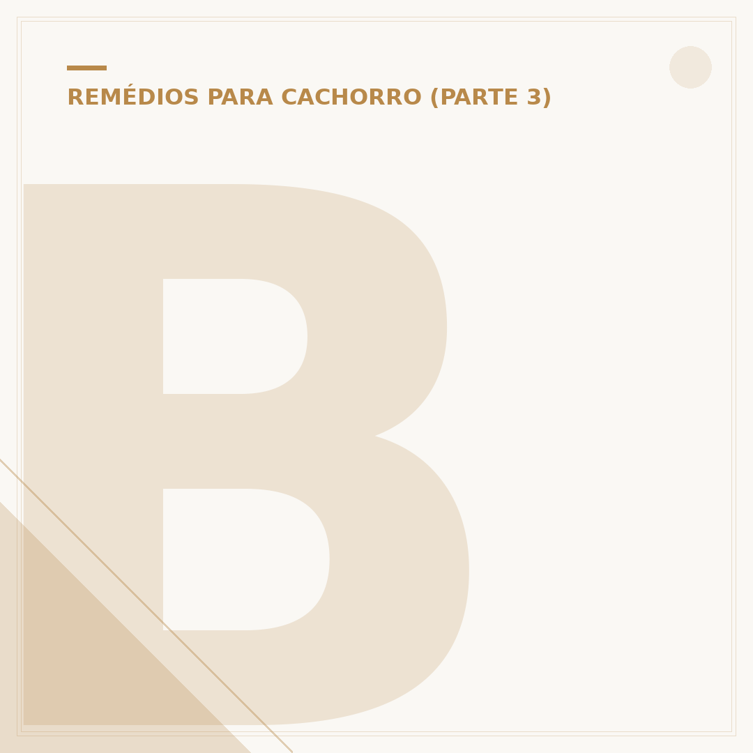 Biodex para cachorro: como usar e indicações
