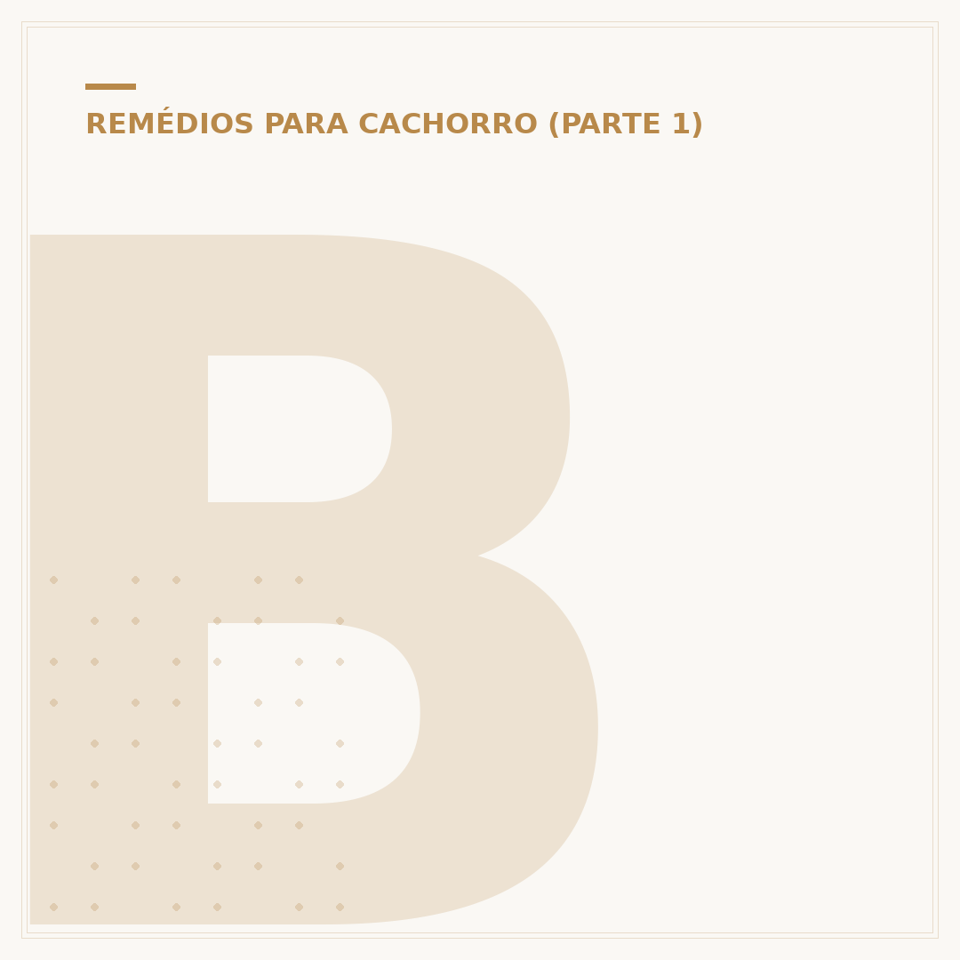 Biodex para cachorro: para que serve e como usar