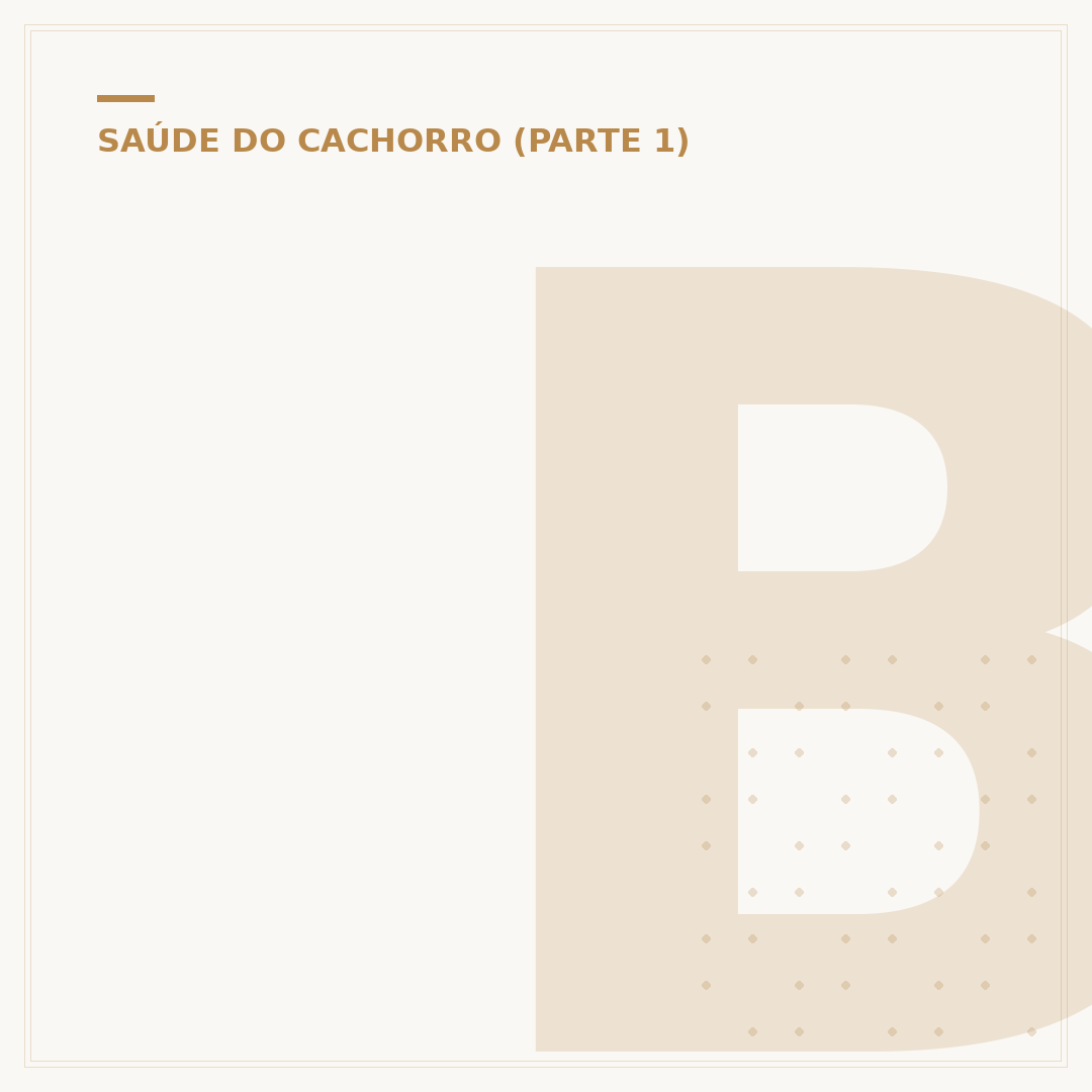 Blefarite em cães: causas, sintomas e como tratar