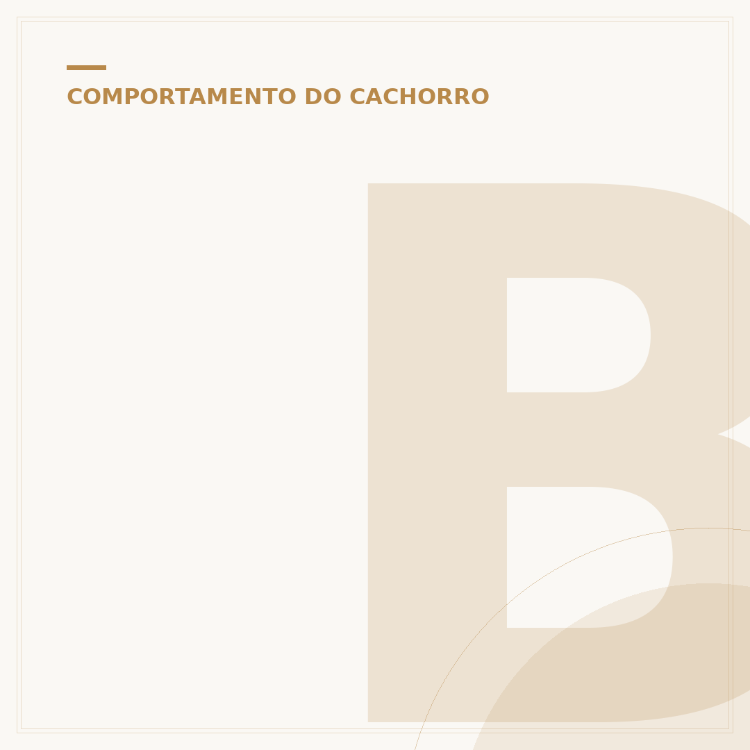 Bola para cachorro que pula: diversão e exercício garantidos