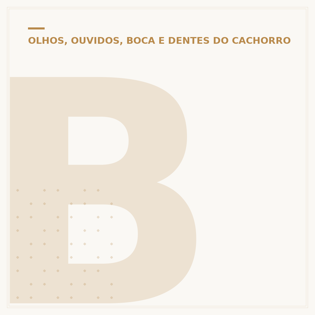 Bolha na orelha do cachorro: causas, riscos e tratamentos