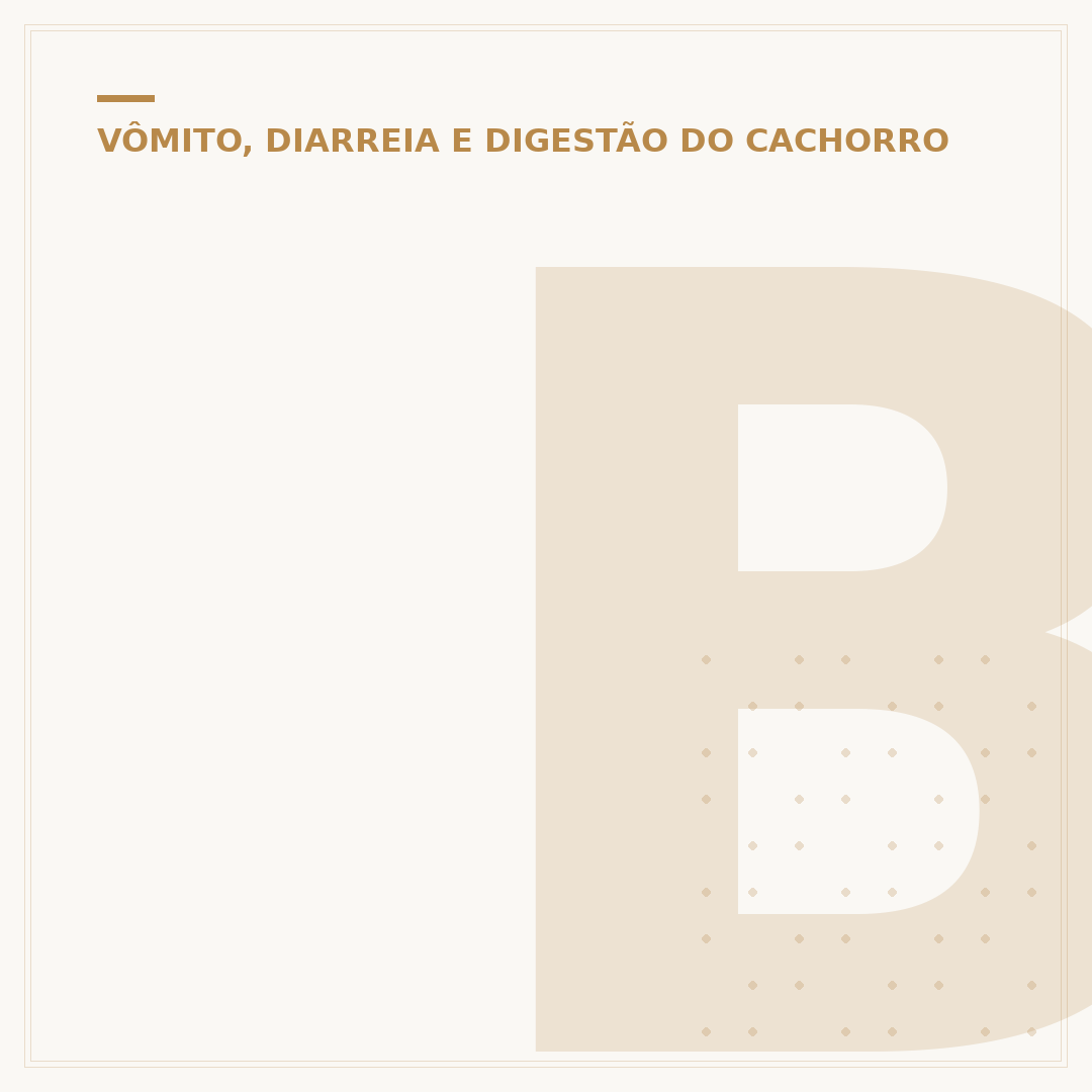 Bolinha na barriga do cachorro: o que pode ser?