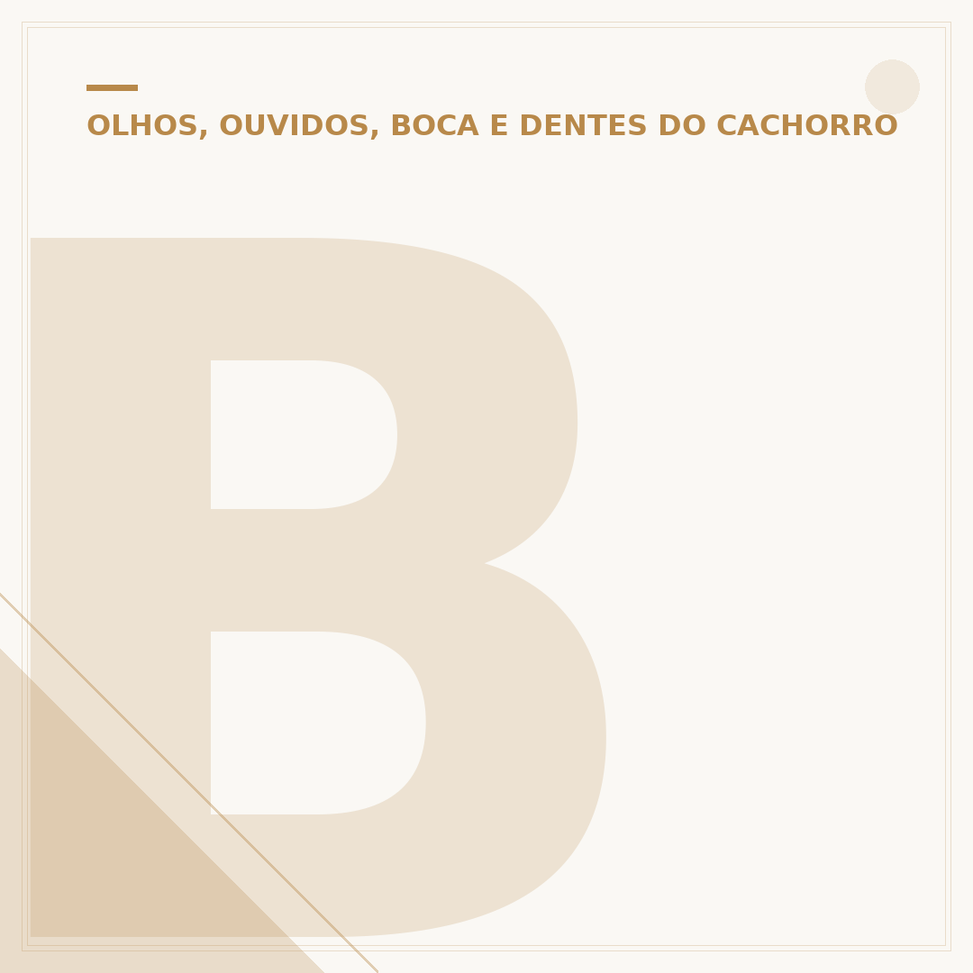 Bolinha branca no olho do cachorro: causas e cuidados