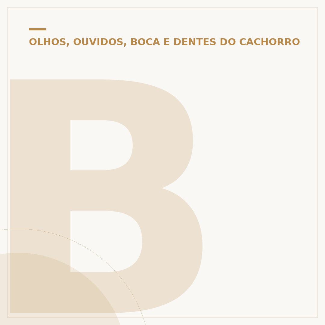 Bolinha no olho do cachorro: o que pode ser e como agir