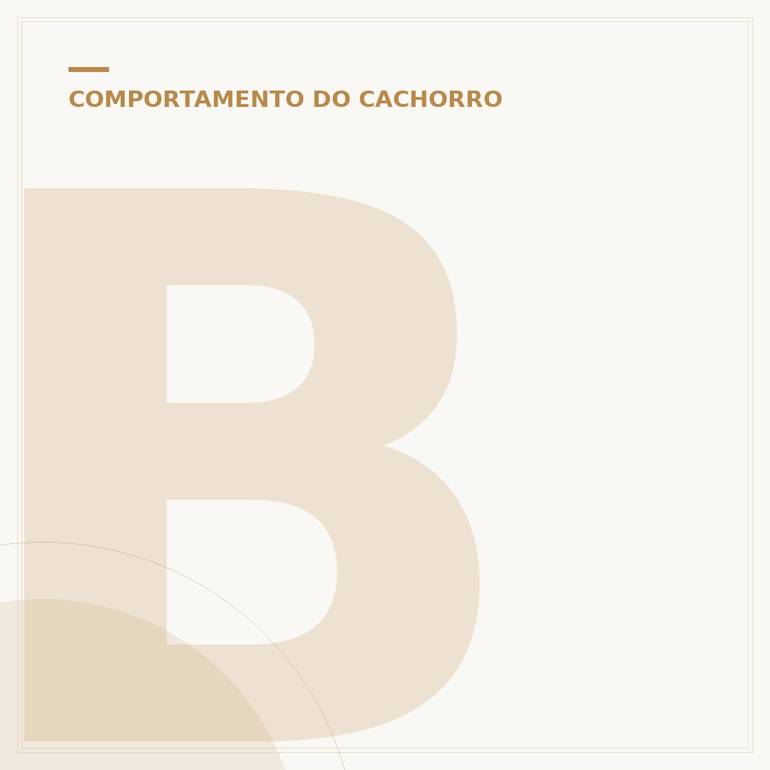 Bolinha que pula para cachorro: diversão e segurança