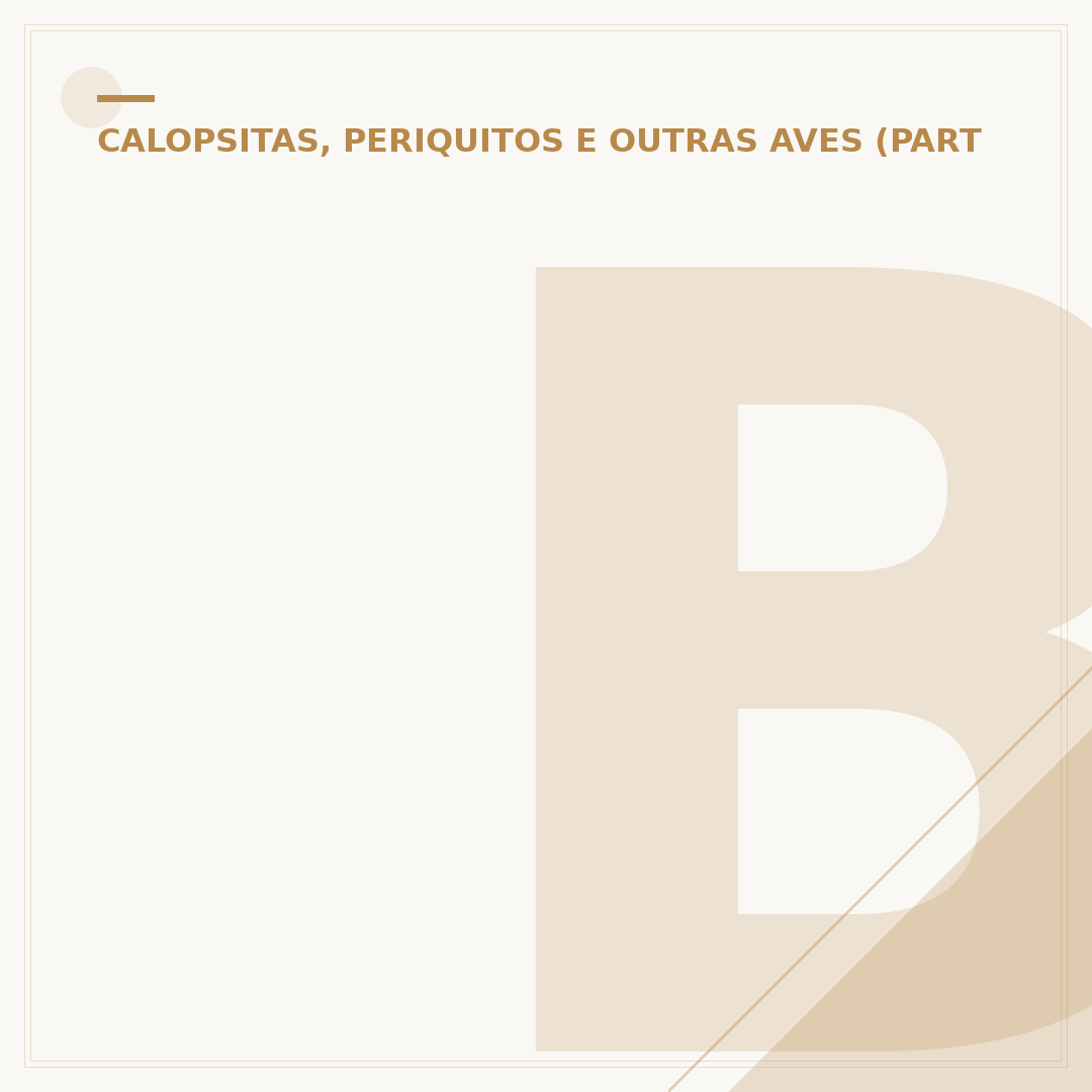 Brinquedos caseiros para calopsita: alegria e segurança